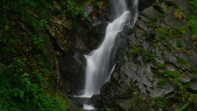 蝴蝶领结