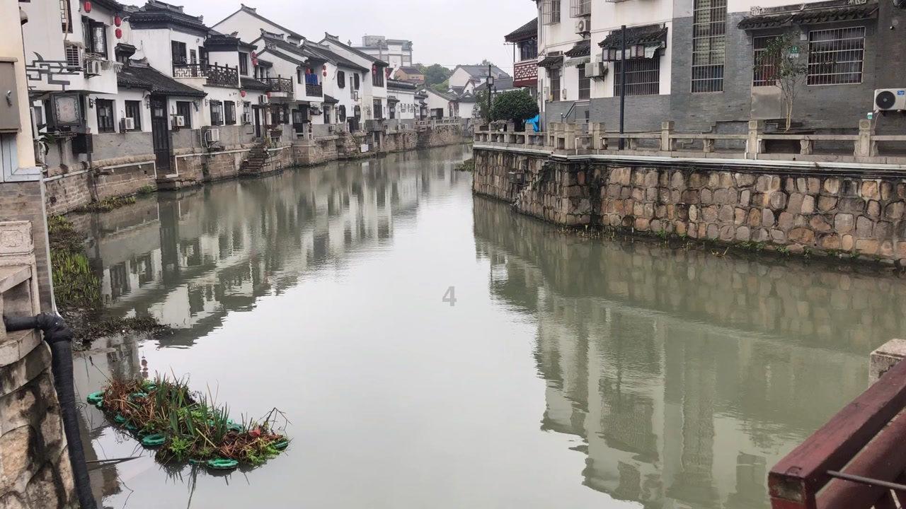 救援蓝鸦